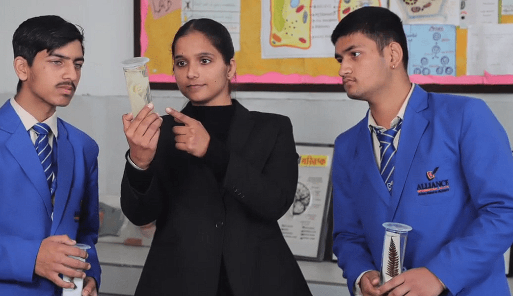 AIS students engaged in co-curricular activities with a teacher